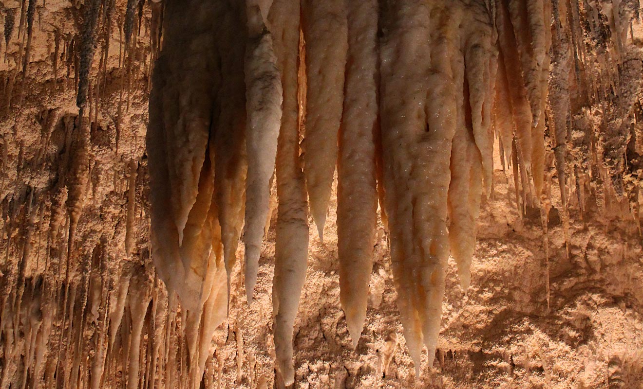 La couleur des stalactites varie selon les grottes dans la région de Waitomo. La teinte la plus fréquente est le beige, mais certaines sont roses pales (c'est le cas dans la grotte d'Aranui).