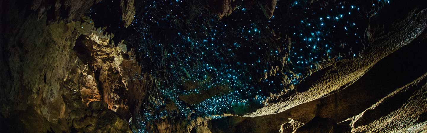 Les voyageurs visitent les grottes de Waitomo éclairées par les vers luisants.