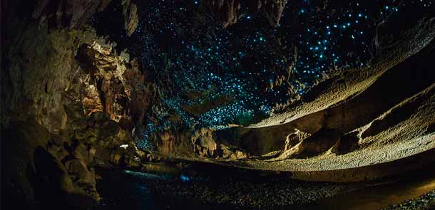 La particularité unique des grottes de vers luisants de Waitomo tient à la présence de millions de vers luisants.