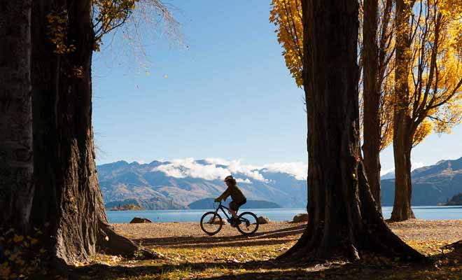 Il existe des centaines de kilomètres de piste de vélo dans l'Otago, et les débutants comme les pro y trouvent leur compte.