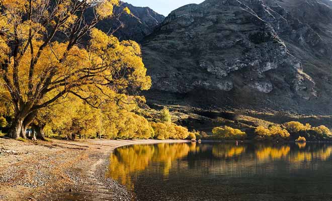 Le mois de mars coïncide avec le début de l'automne, et si le pays se vide de ses touristes, il prend des teintes magnifiques dans le sud, notamment vers Queenstown, Arrowtown ou Wanaka.