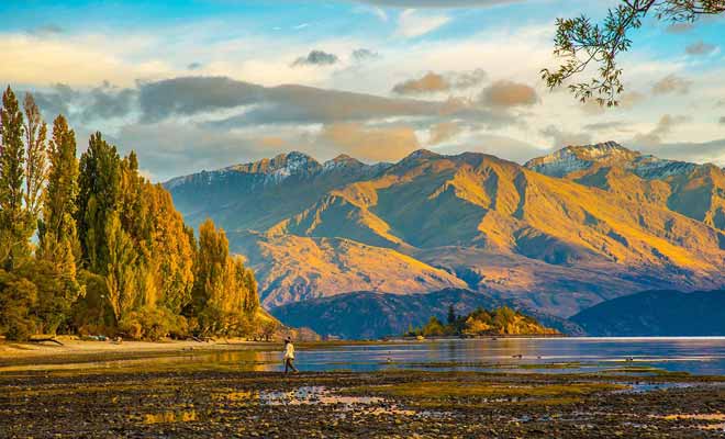 La Nouvelle-Zélande reste magnifique même durant la basse saison, en partie parce que les arbres ne perdent pas leurs feuilles.