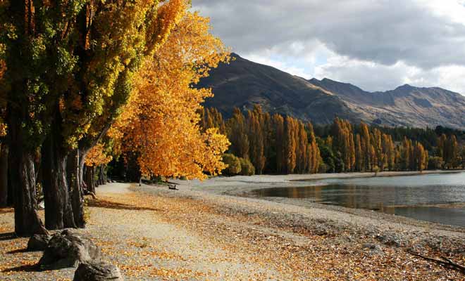 Chez Kiwipal, notre saison préférée est de loin l'automne. Les paysages sont encore plus somptueux qu'à l'accoutumée, et le flot des touristes commence à se tarir.