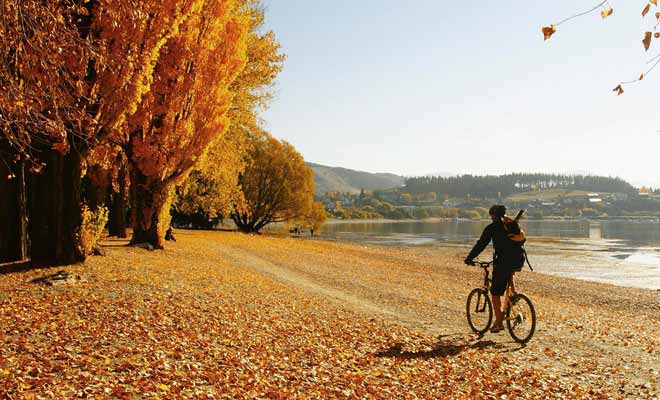 De l'avis général, la plus belle saison pour visiter Wanaka se situe à l'automne.