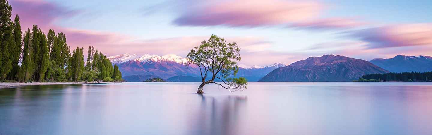 Wanaka est une ville de l'Otago célèbre pour ses paysages.