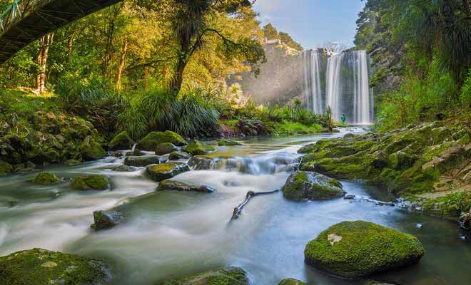 Cette cascade paradisiaque est à deux pas de la ville de Whangarei et l'on peut s'y rendre à pied en suivant un joli sentier en forêt.