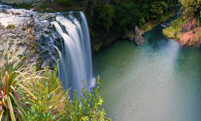 Les Whangarei Falls sont des chutes particulièrement photogéniques qui donnent naissance à la rivière Hatea. Certaines personnes s'y baignent en dépit de l'interdiction.