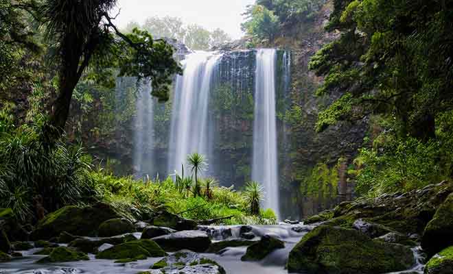 Impossible de visiter Whangarei et sa région sans rendre visite aux célèbres chutes du même nom. Au cœur de la forêt, les Whangarei Falls sont magnifiques, quelle que soit la météo.