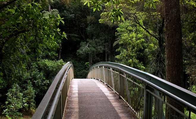 Pour se rendre aux Whangarei Falls, il suffit de suivre une courte promenade et un pont qui enjambe la rivière Hatea.