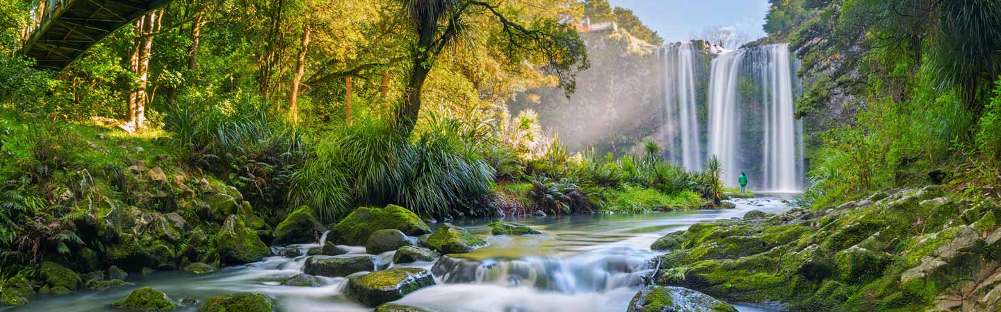 Whangarei Falls dans le Northland