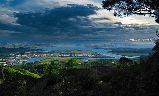 Pour admirer Whangarei et toute la région, vous pouvez monter au mont Parihaka à pied ou en voiture. Un monument commémoratif de la Seconde Guerre mondiale se trouve au sommet.