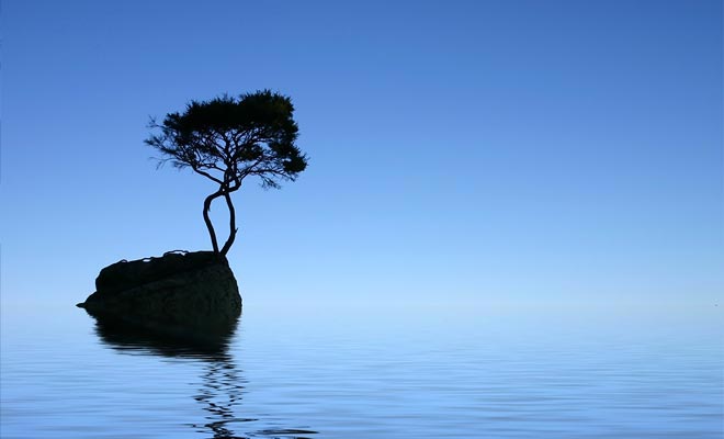 L'albero solitario della baia di Tinline cresce su una roccia isolata in mare aperto. Difficile trovare un soggetto più fotogenico.