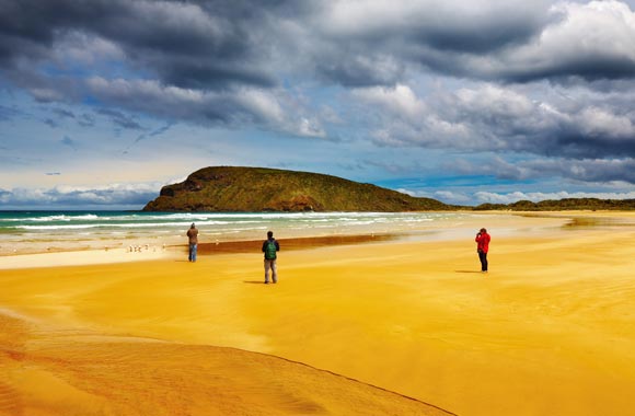 Abel Tasman è il parco nazionale preferito dei neozelandesi. Si trova in posizione ideale alla punta dell'isola del sud.