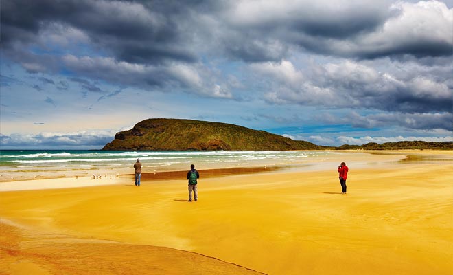 Abel Tasman è il parco nazionale preferito dei neozelandesi. Si trova in posizione ideale alla punta dell'isola del sud.