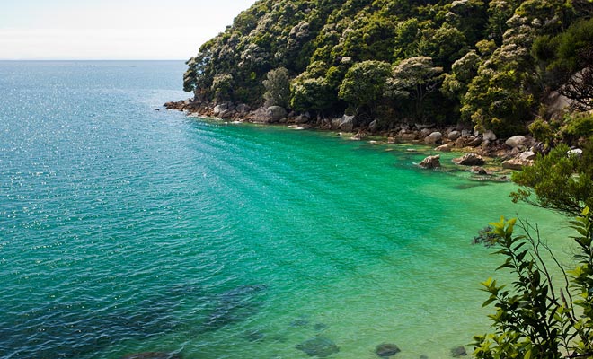 La pista costiera Abel Tasman corre lungo la costa. Puoi riposare e bagnare in lagune con acqua turchese.