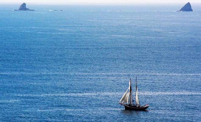 Om naar Nieuw-Zeeland te komen was het noodzakelijk om bijna vier maanden van Europa te varen. Veel zeilers overleefden niet.