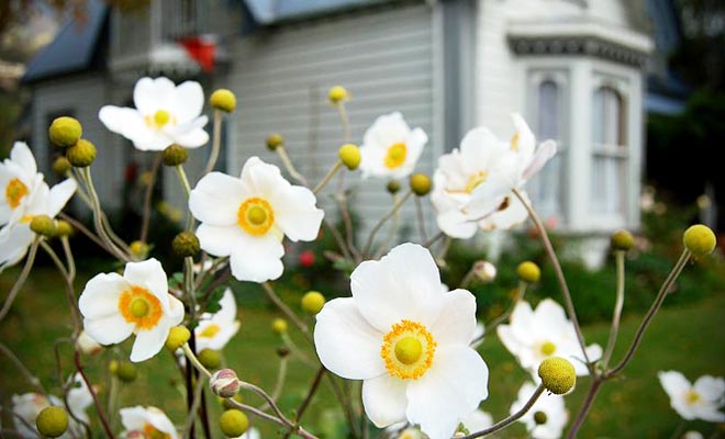 Het dorp Akaroa heeft minder dan 600 inwoners, maar herbergt veel toeristen in de zomermaanden. Desondanks blijft het dorp rustig.