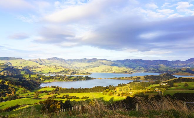 Hilltop biedt een vrij uitzicht op het schiereiland Banks. We kunnen zelfs het dorpje Akaroa in de verte zien.