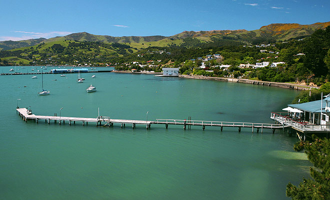 La Peninsula delle Banks e il piccolo villaggio di Akaroa attraggono i turisti e turisti di Christchurch da tutto il mondo che sognano di nuotare con i delfini.