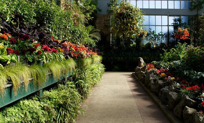 Het broeikas van de botanische tuin kan gratis bezocht worden. Dit is ook een ideale setting voor bruiloftfoto's.