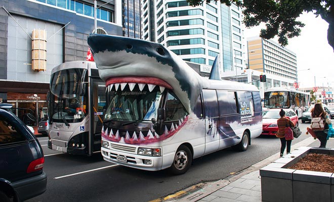 Dit is de pendelbus naar het aquarium van Kelly Tarlton. Je hebt het gegeten, je kunt haaien waarnemen, maar ook zwemmen met hen!