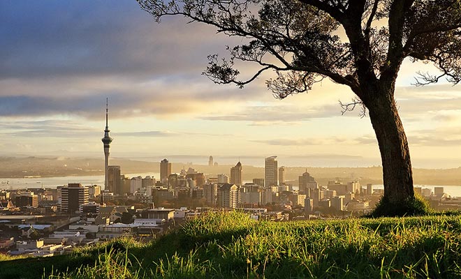 Molte persone di Auckland non amano la Sky Tower (lo chiamano la siringa). Spesso preferiscono il Monte Eden (un antico vulcano) quando si tratta di ammirare la città delle vele.
