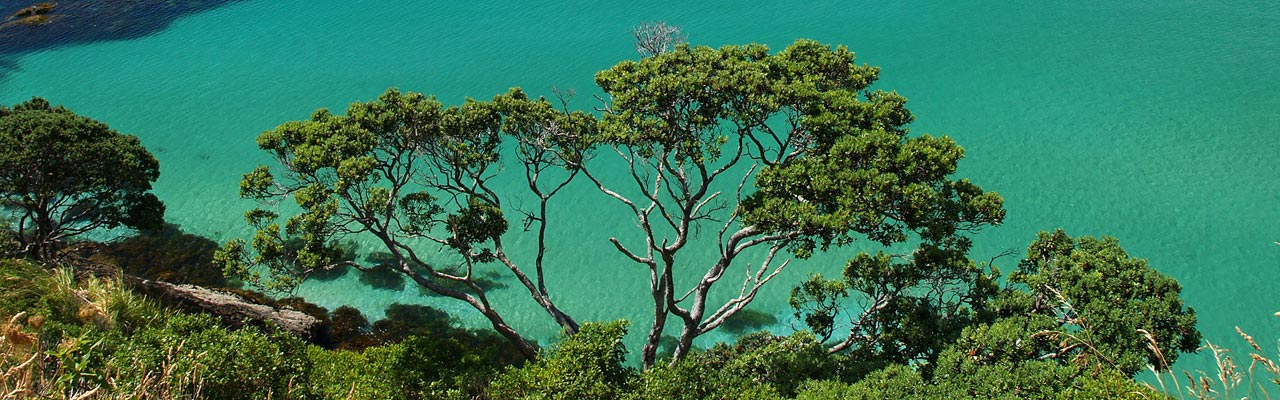 The coast of Bay of Islands and its turquoise sea.