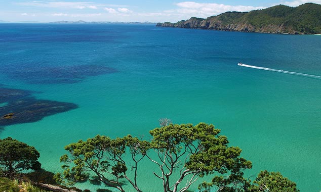 La costa della Bay of Islands e il suo mare turchese.