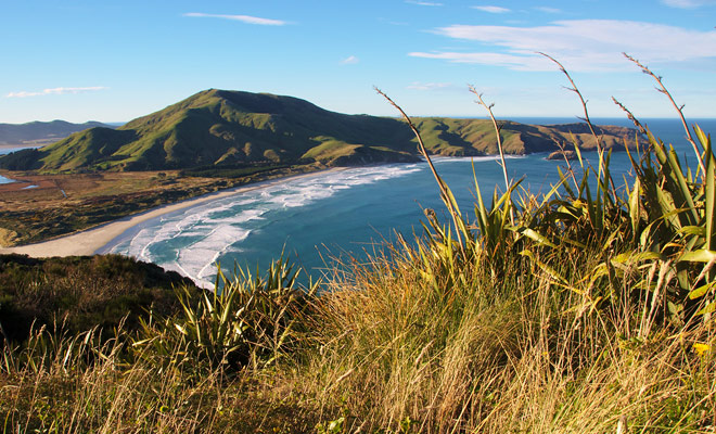 Allans Beach is een beroemd surfstrand dichtbij Dunedin op het Zuidereiland van Nieuw-Zeeland. Zelfs als u niet surft, verdient het landschap een bezoek!