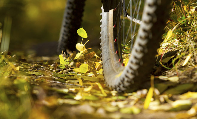 De keuze van het mountainbike model is niet alleen een kwestie van gevoel of ontwerp. Er zijn soorten fietsen die geschikt zijn voor elk terrein, en u moet leren over de conditie van de paden voordat u een fiets huurt in een Queenstown of Rotorua winkel.