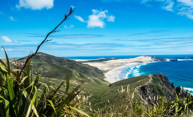 Naast het strand van negenentig mijl, is het aan te bevelen om een ​​omweg door Te Paki te maken als u naar Cape Reinga gaat op het puntje Northland. Ontbossing heeft aanleiding gegeven tot grote zandduinen die op een surfplank kunnen worden gereden. Het is zelfs mogelijk om uw surfplank ter plaatse te huren.