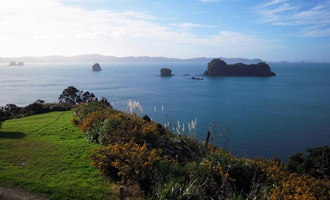 Het vertrek van de wandeling naar Cathedral Cove begint op het parkeerterrein op de top van een klif.