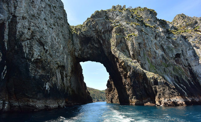 De Poor Knight Islands zijn een mariene reserve en het mag niet op de eilanden dokken. Aan de andere kant is duiken toegestaan ​​en met deze Dive Tutukaka kunt u alleen deze archipel bereiken.