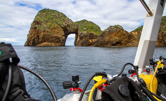 Als u in het Whangarei gebied bent, kunt u genieten van een duikdoop. Het kleine stadje Tutukaka en de Poor Knight Islands zijn slechts 28 km (een half uur rijden).