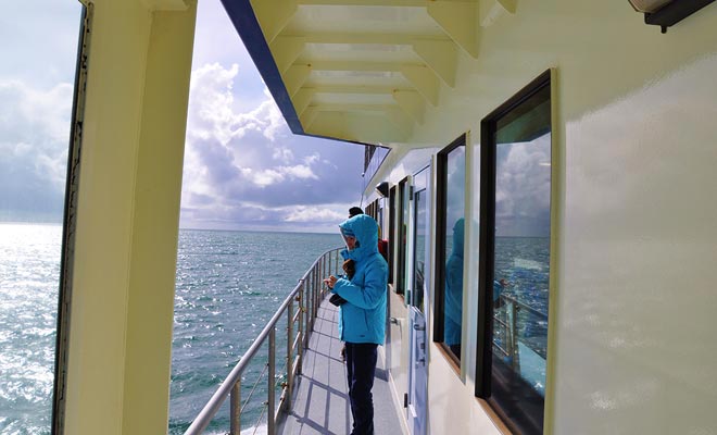 Het schip stijgt de fiord naar de Tasmanzee, waar het terugkeert naar het beginpunt.