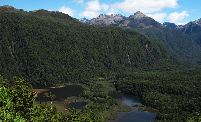 Het twijfelachtige geluid is moeilijk toegankelijk en de tour die het toelaat om het te bezoeken, heeft een hele dag in beslag. Dit verklaart waarom de meerderheid van de bezoekers liever de Milford Sound bezoeken.