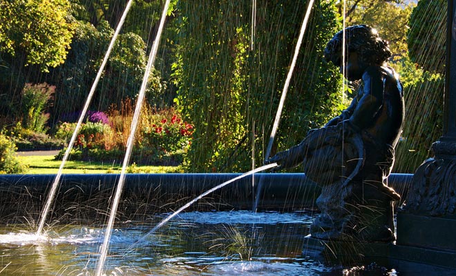 Il giardino botanico di Dunedin è vicino al centro della città e copre 22 ettari. Una parte importante è dedicata ai rododendri.