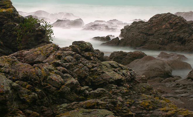 De ochtendmist voegt een fantastische noot toe aan de rommelige kust van Kaikoura.