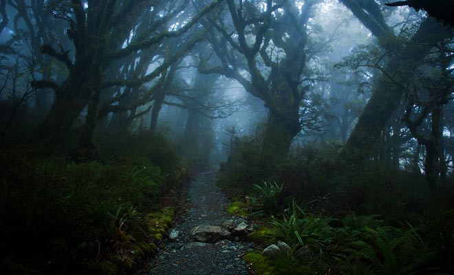 In montagna, il tempo può cambiare molto rapidamente. Che cosa era una semplice passeggiata può trasformarsi in un incubo in nessun tempo. Un equipaggiamento improprio può metterti in una situazione pericolosa.