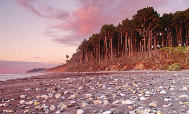 De stranden van de West Coast zijn verlaten en bezaaid met kiezelstenen. De kracht van de stroom en de puin die het strand vuilen, zijn niet perfect om te zwemmen.