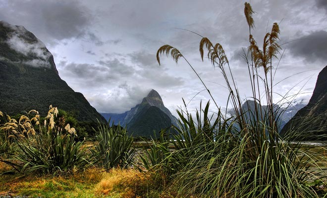 Ad eccezione di Milford Sound, la popolazione di Fiordland è vicina a zero. Le straordinarie piogge e la fitta vegetazione che cresce sulle montagne ripide complicano l'accesso al parco.