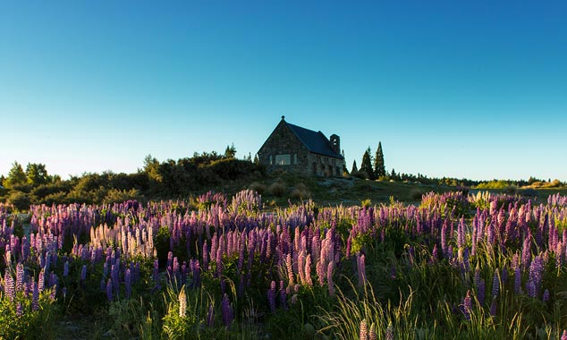 La chiesa del buon pastore vicino al Monte Cook.