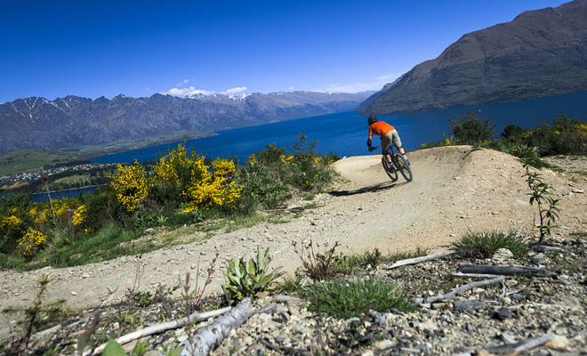 Met duizenden kilometers fietspaden, toegewijd aan families en mountainbike-fans, is Nieuw-Zeeland een paradijs voor fietsen.