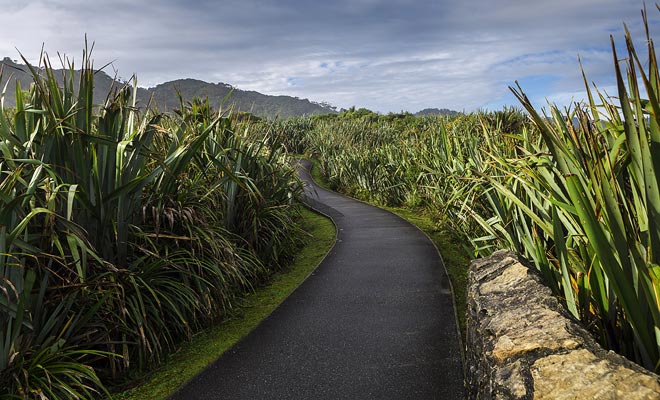 De vlas gaf de Maori de mogelijkheid om manden te maken. Vandaag wordt het nog steeds gebruikt door ambachtslieden.