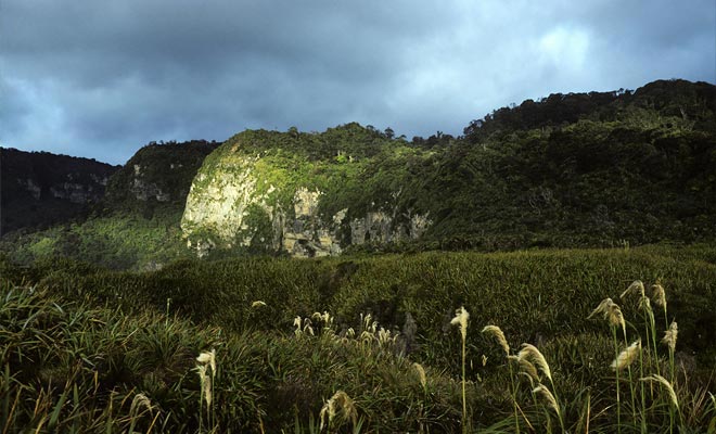 Oltre alla visita delle Pancake Rocks, è possibile prenotare attività nel parco nazionale di Paparoa.