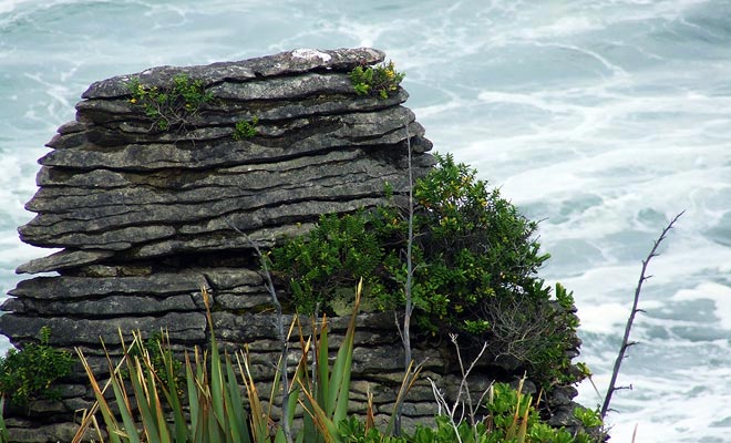 Le Pancake Rocks sembrano frittelle accatastate uno sopra l'altra.