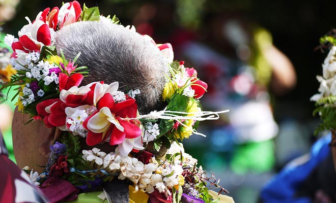 Het Pasifika festival is niet de enige viering die elk jaar in Nieuw-Zeeland wordt gehouden. Elke regio viert zijn oorsprong en de beurzen trekken steeds meer bezoekers.