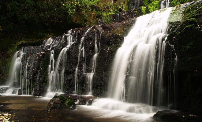 In regioni dove cadono più di sette metri di pioggia ogni anno, i fiumi producono cascate spettacolari come le cascate di Purakaunui.