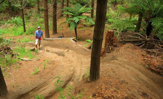 Ook bekend als Whakarewarewa, heeft Redwoods Forest meer dan 60 km mountainbike-paden. Ideaal voor familiewandelingen en voor extreme sportliefhebbers.