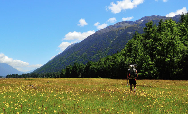 Inaugurato nel 2011, Te Araroa Trail è uno dei sentieri più lunghi del mondo. L'itinerario attentamente studiato attraversa la Nuova Zelanda da nord a sud.